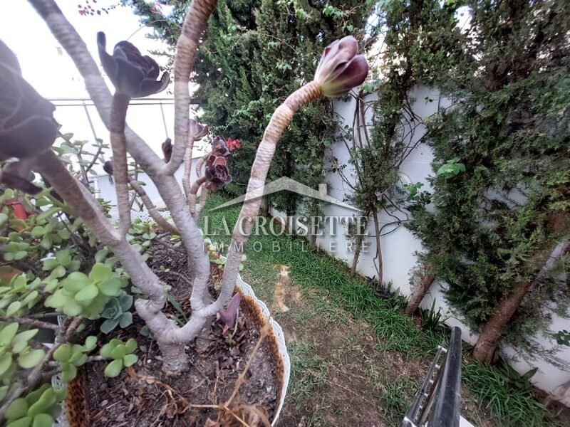 Rez-de-chaussée S+3 avec jardin aux Jardins de Carthage 
